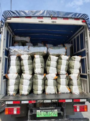 Resorte de bolsillo de alambre de acero de alto carbono duradero para sofá con tamaño personalizado y embalaje comprimido