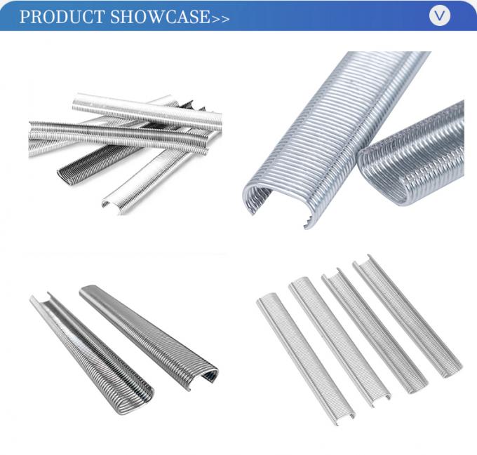 Muestras gratuitas Fabricantes de grapas industriales de anillo C 5