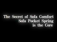 Unidad de resorte de bolsillo del sofá